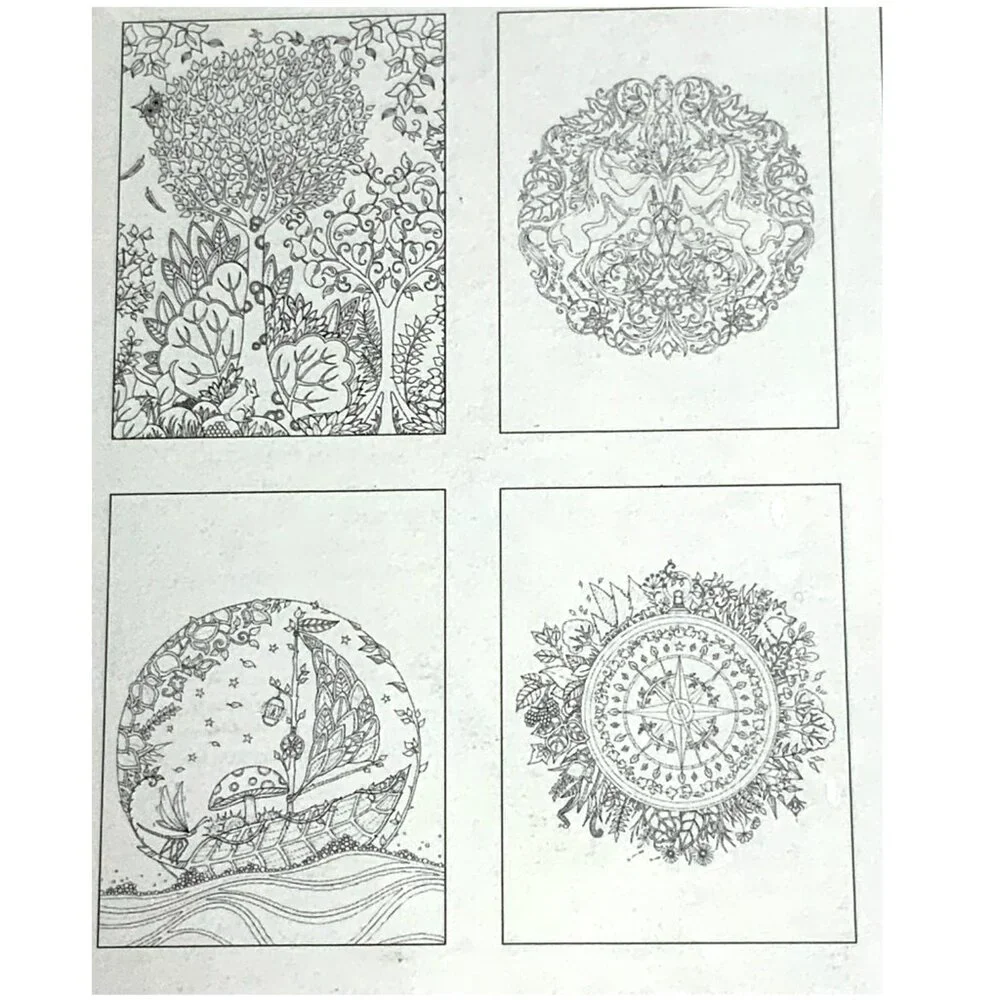 Johanna Basford Enchanted Forest 12 Color-In Notecards Sealed